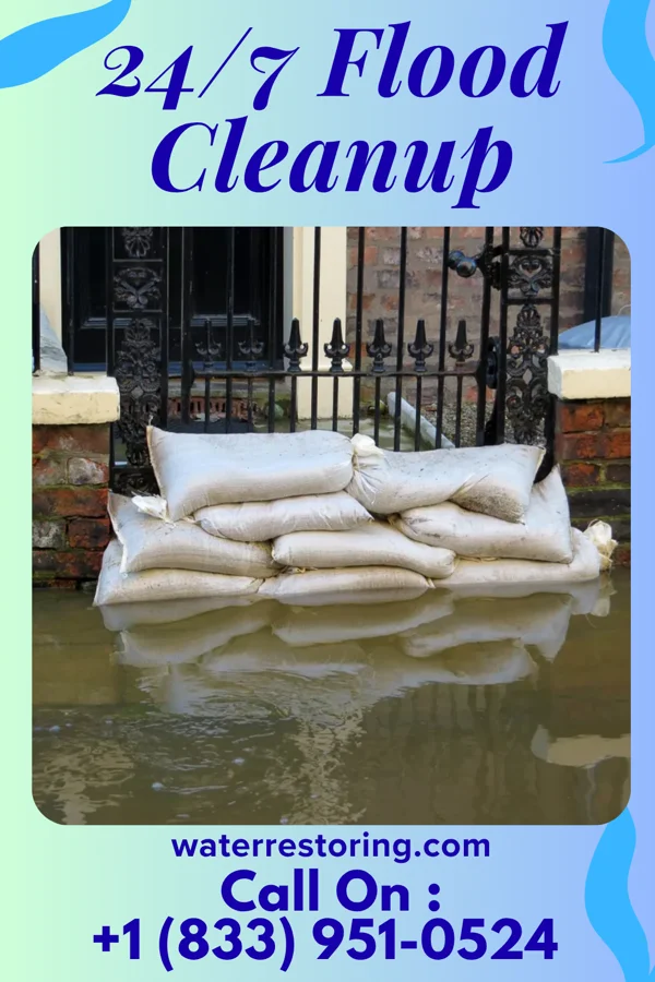 24/7 Flood Cleanup in Prentiss, MS