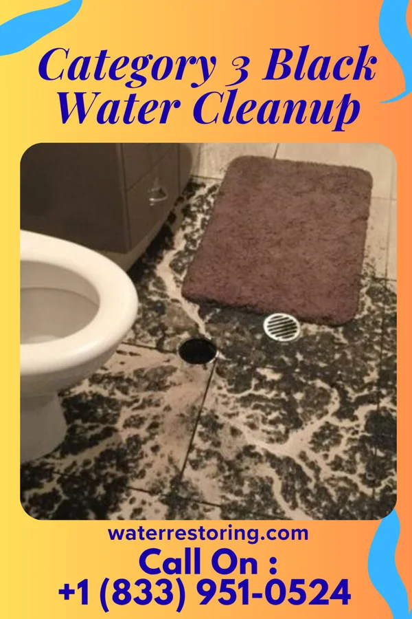 Category 3 Black Water Cleanup in Prentiss, MS