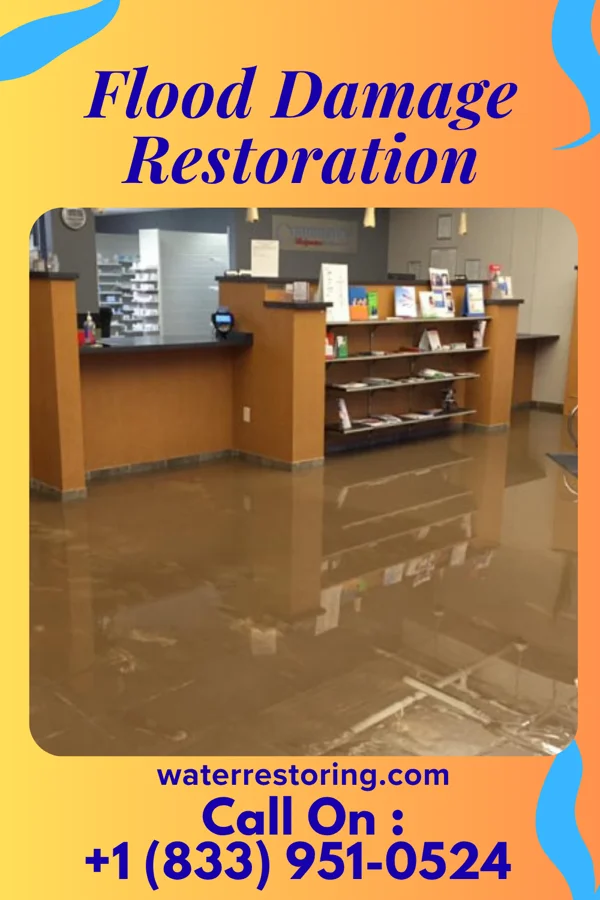 Flood Damage Restoration in Prentiss, MS