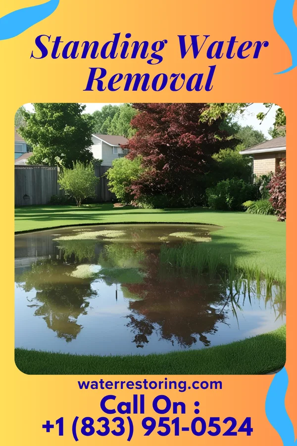 Standing Water Removal in Prentiss, MS